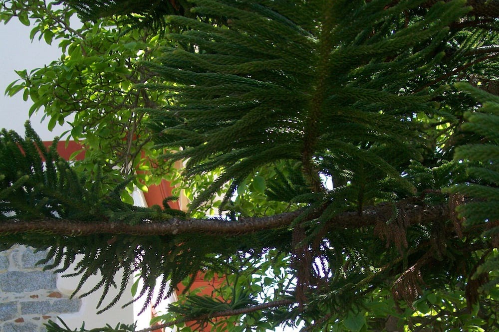 Photo of Outdoor in Bari Sardo
