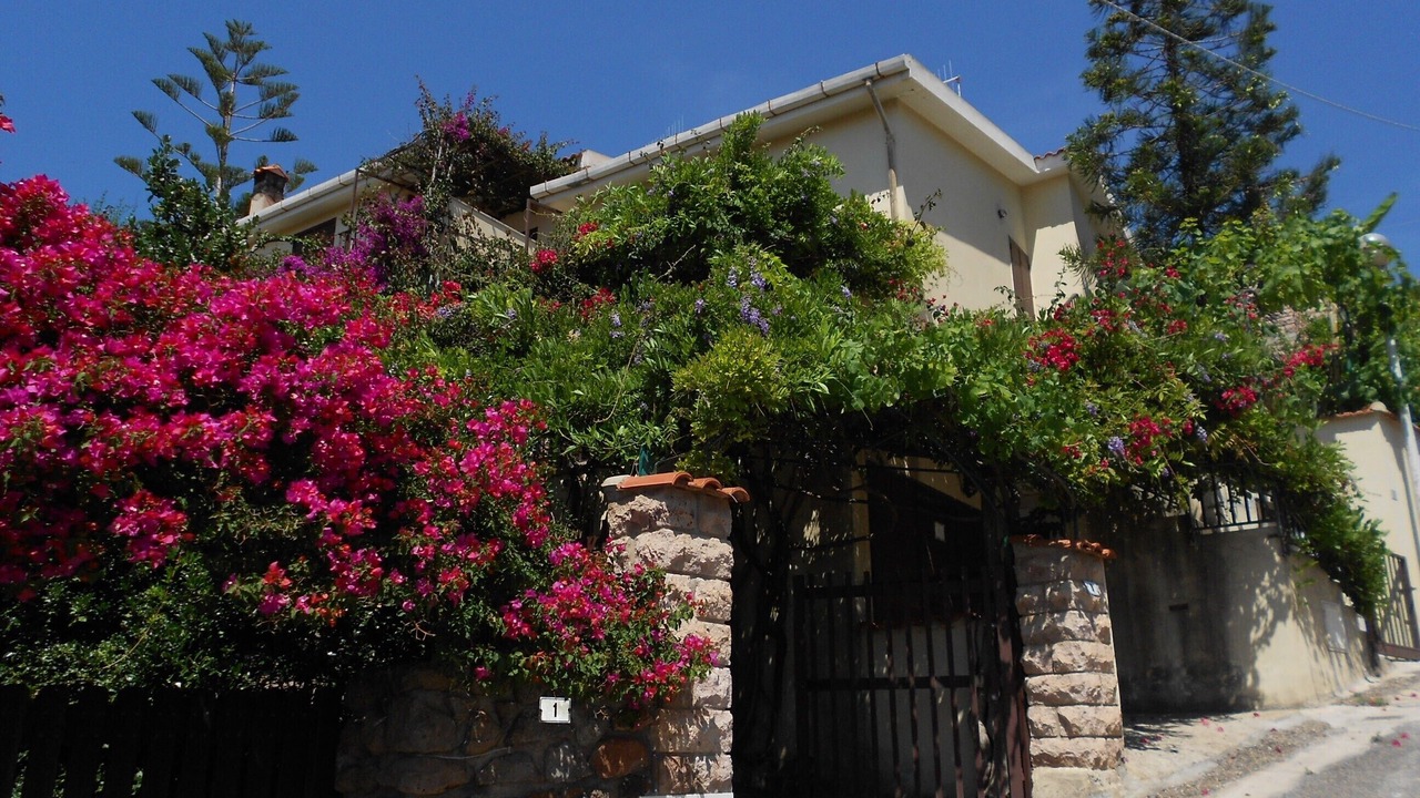 Photo of Outdoor in Porto Alabe