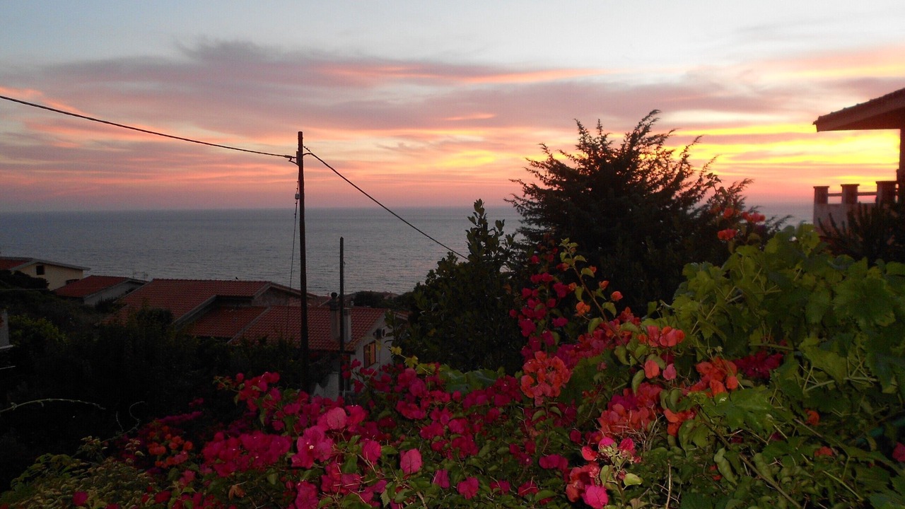 Photo of Others in Porto Alabe