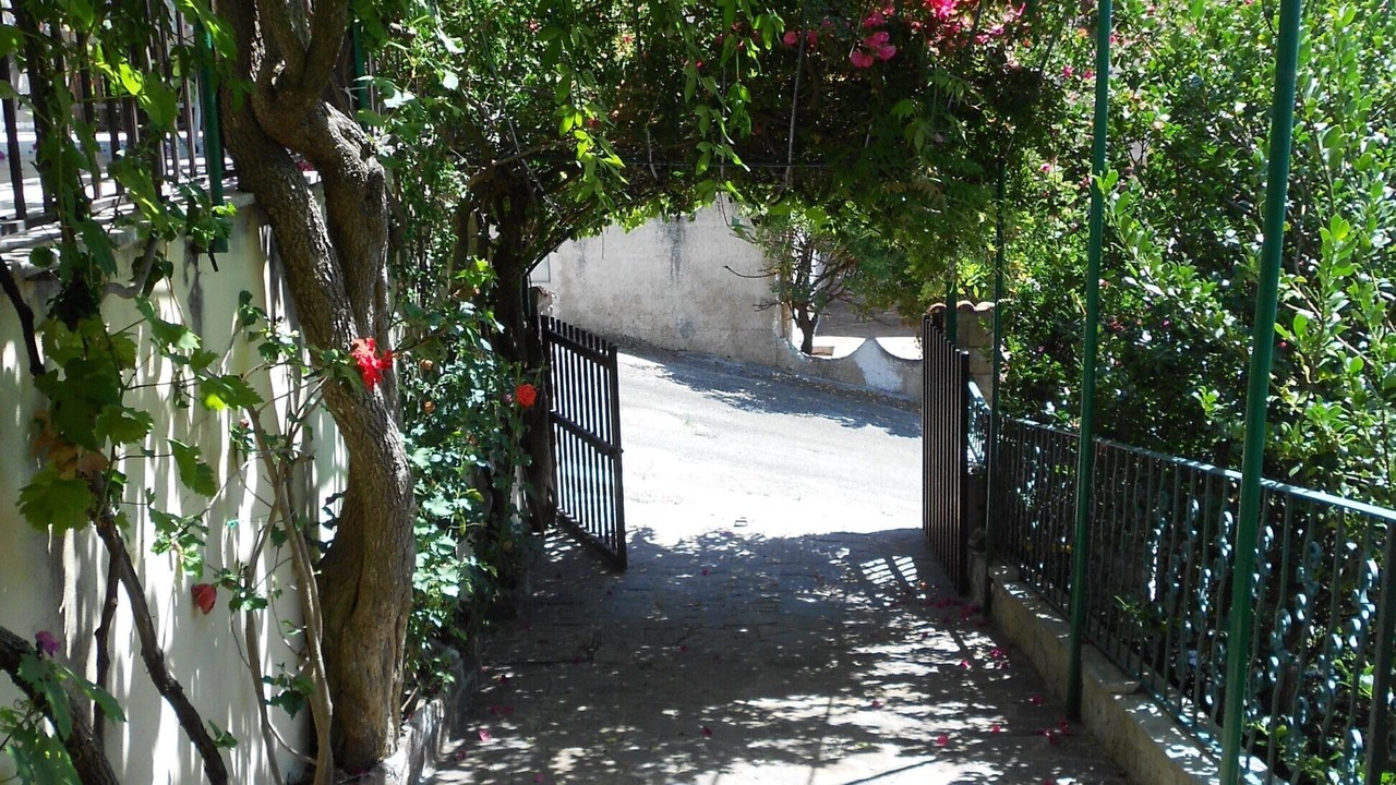 Photo of Outdoor in Porto Alabe