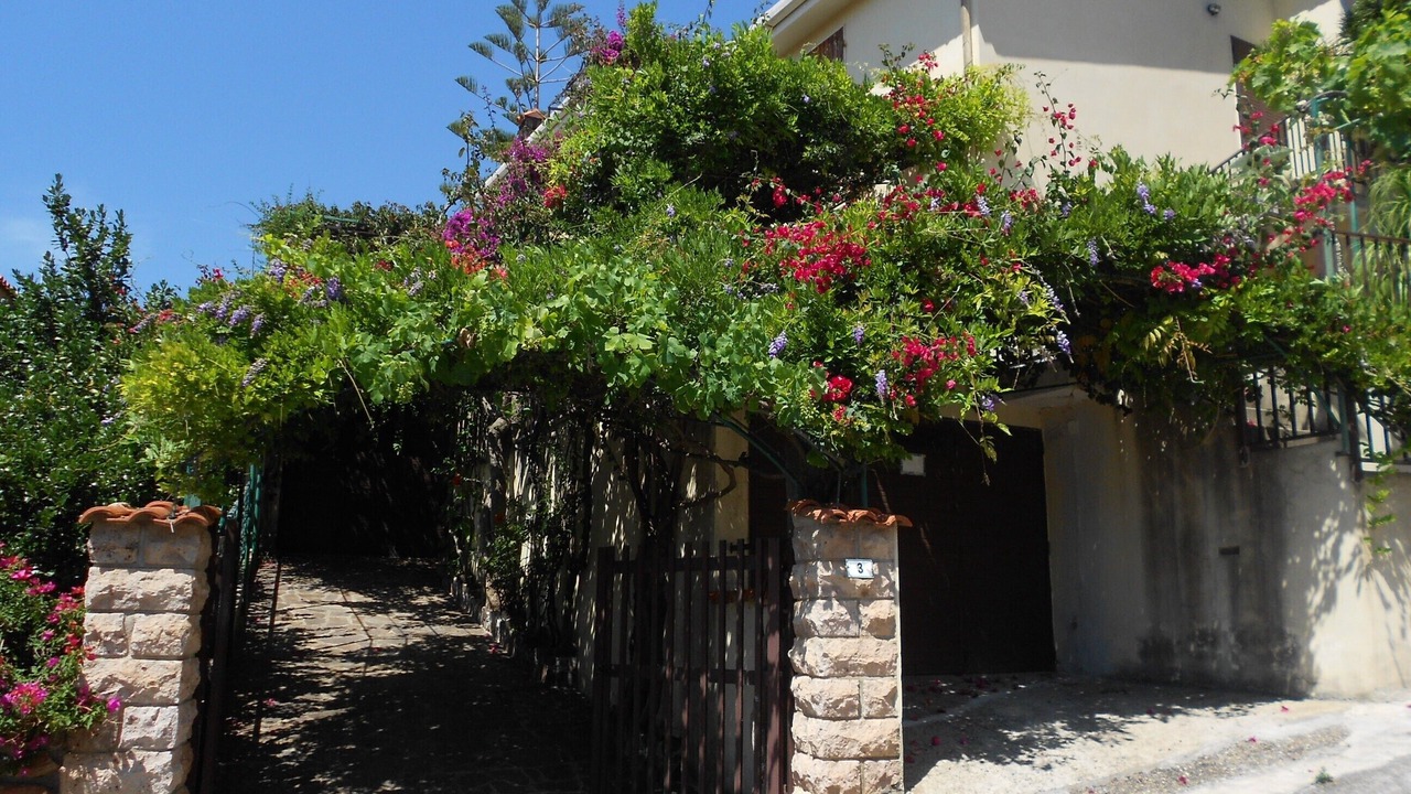 Photo of Outdoor in Porto Alabe