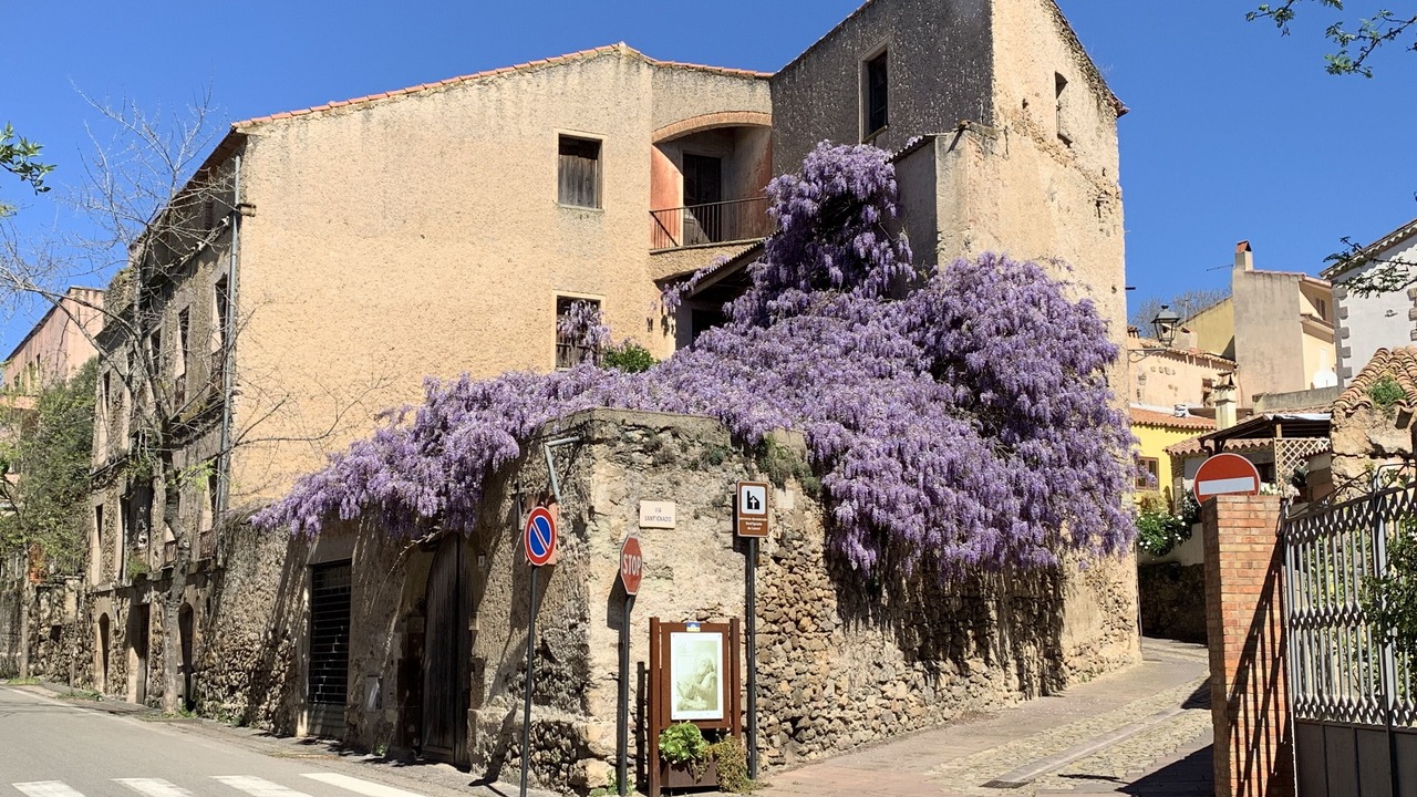 Photo of Outdoor in Laconi
