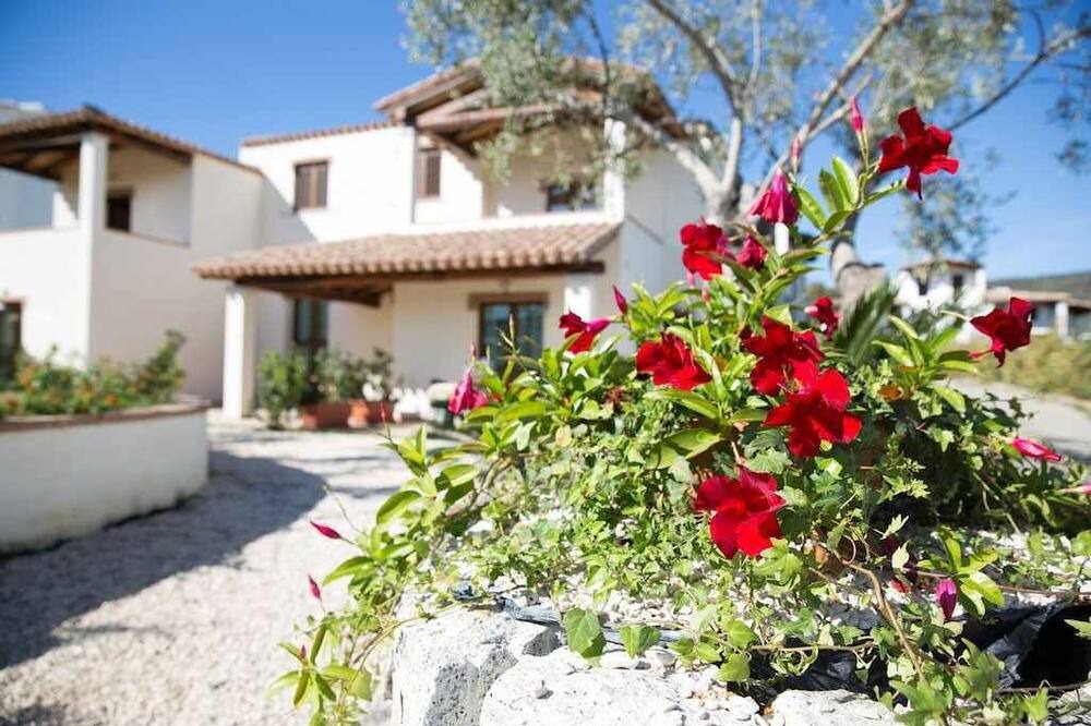 Photo of Outdoor in Torre di Bari