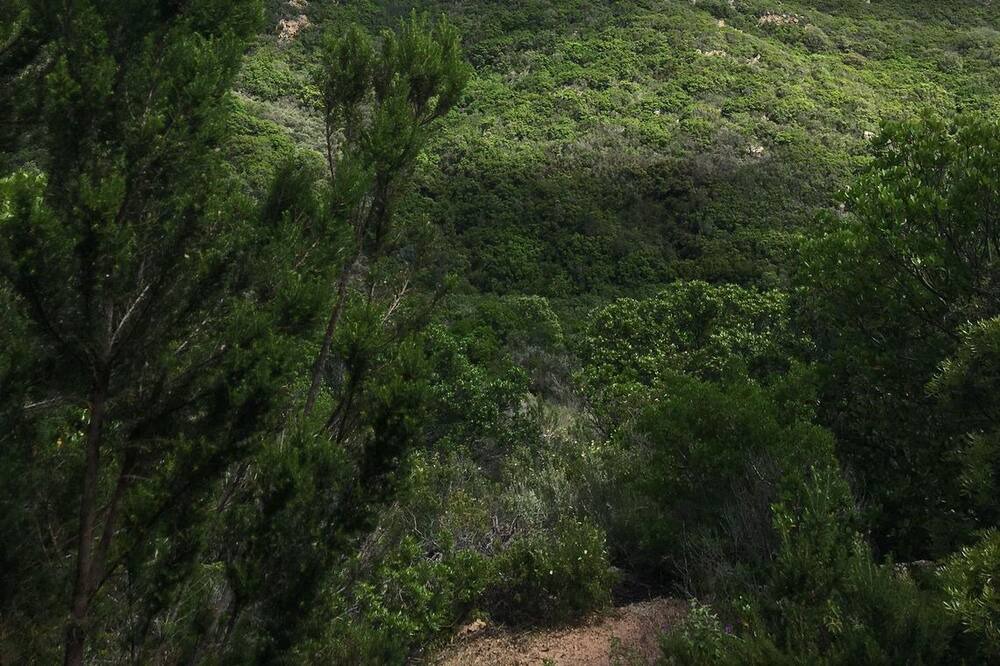 Photo of Outdoor in Costa Paradiso