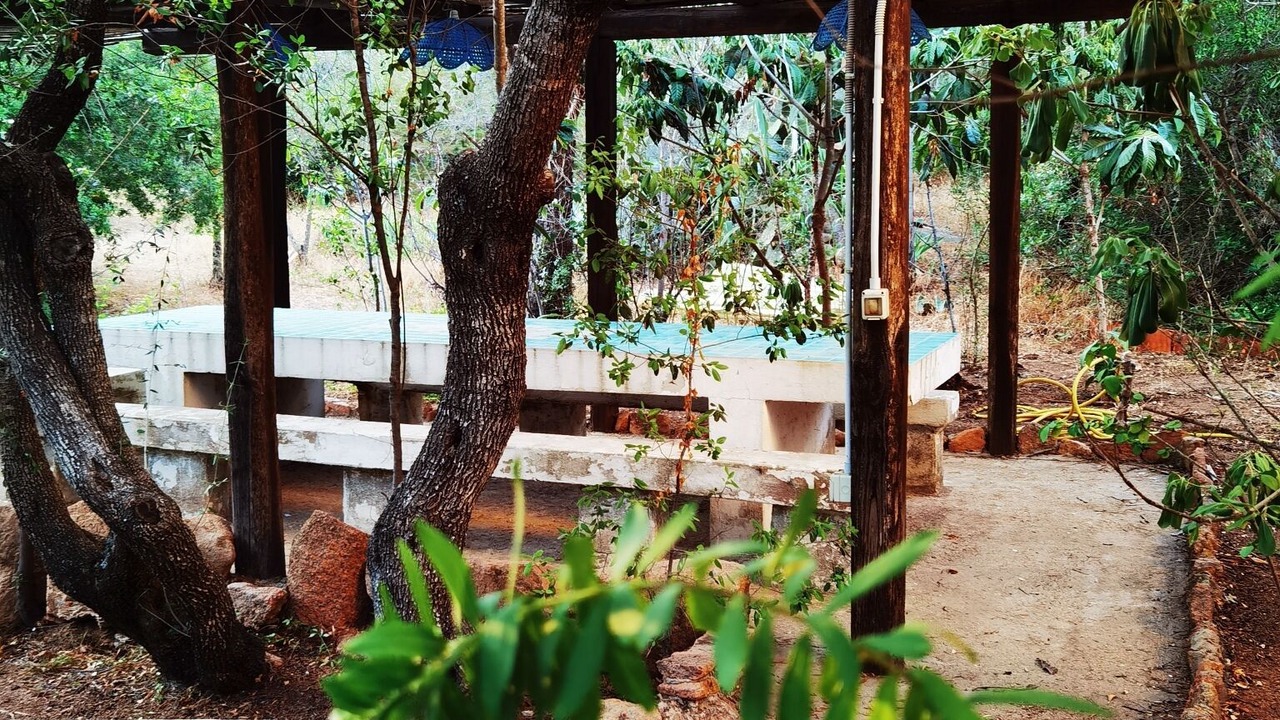 Photo of Outdoor in Porto Istana