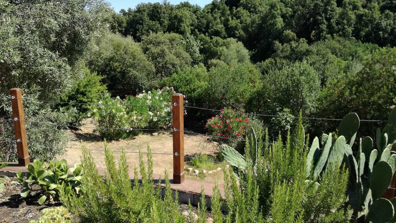 Photo of Outdoor in Bortigiadas