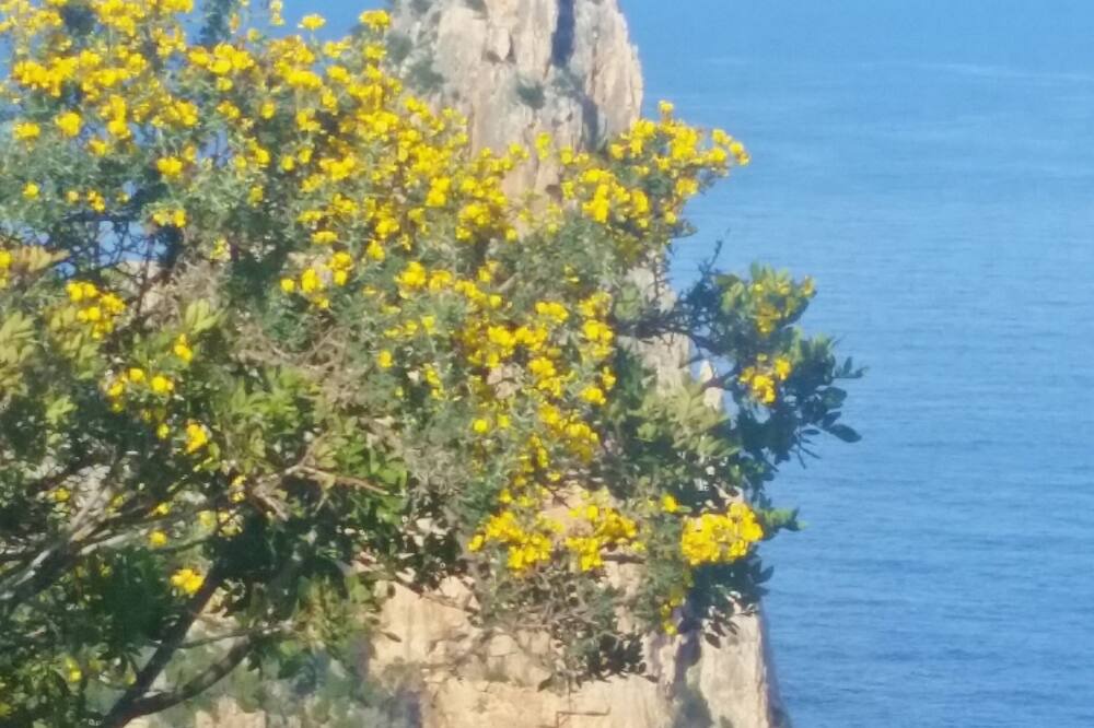 Photo of Others in Tancau Sul Mare