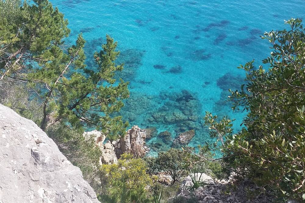 Photo of Others in Tancau Sul Mare