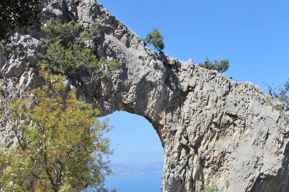 Photo of Others in Tancau Sul Mare