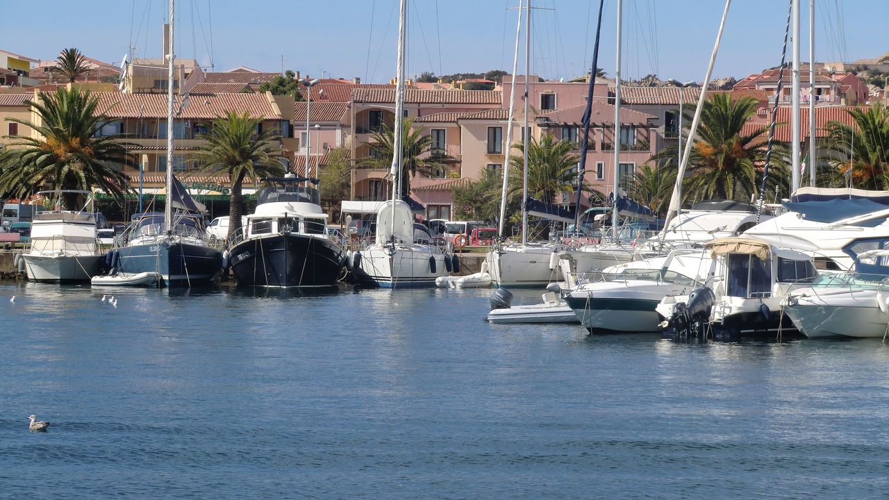 Photo of Others in Palau