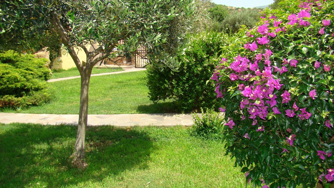 Photo of Outdoor in Solanas