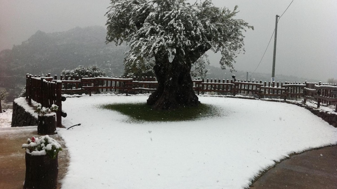 Photo of Outdoor in Dorgali