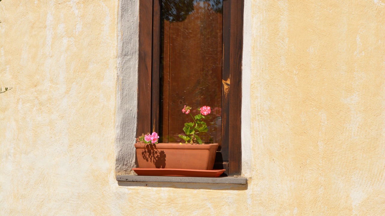 Photo of Others in Galtelli
