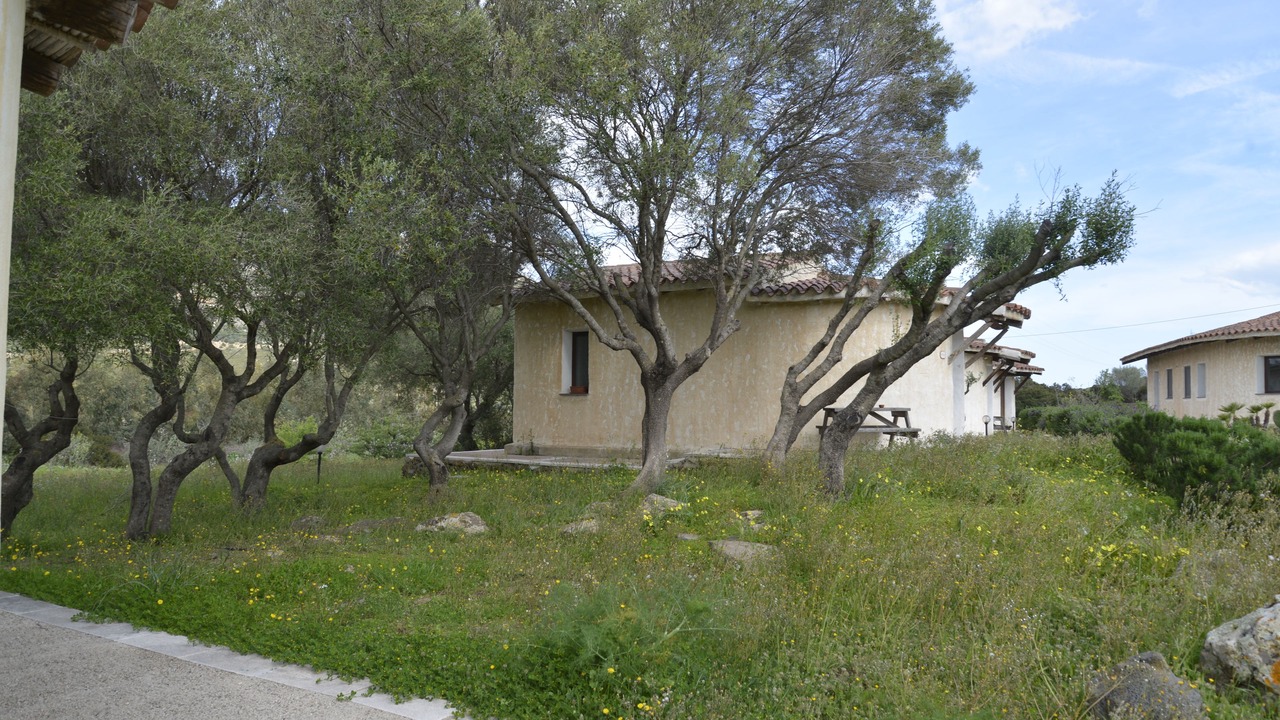 Photo of Outdoor in Galtelli