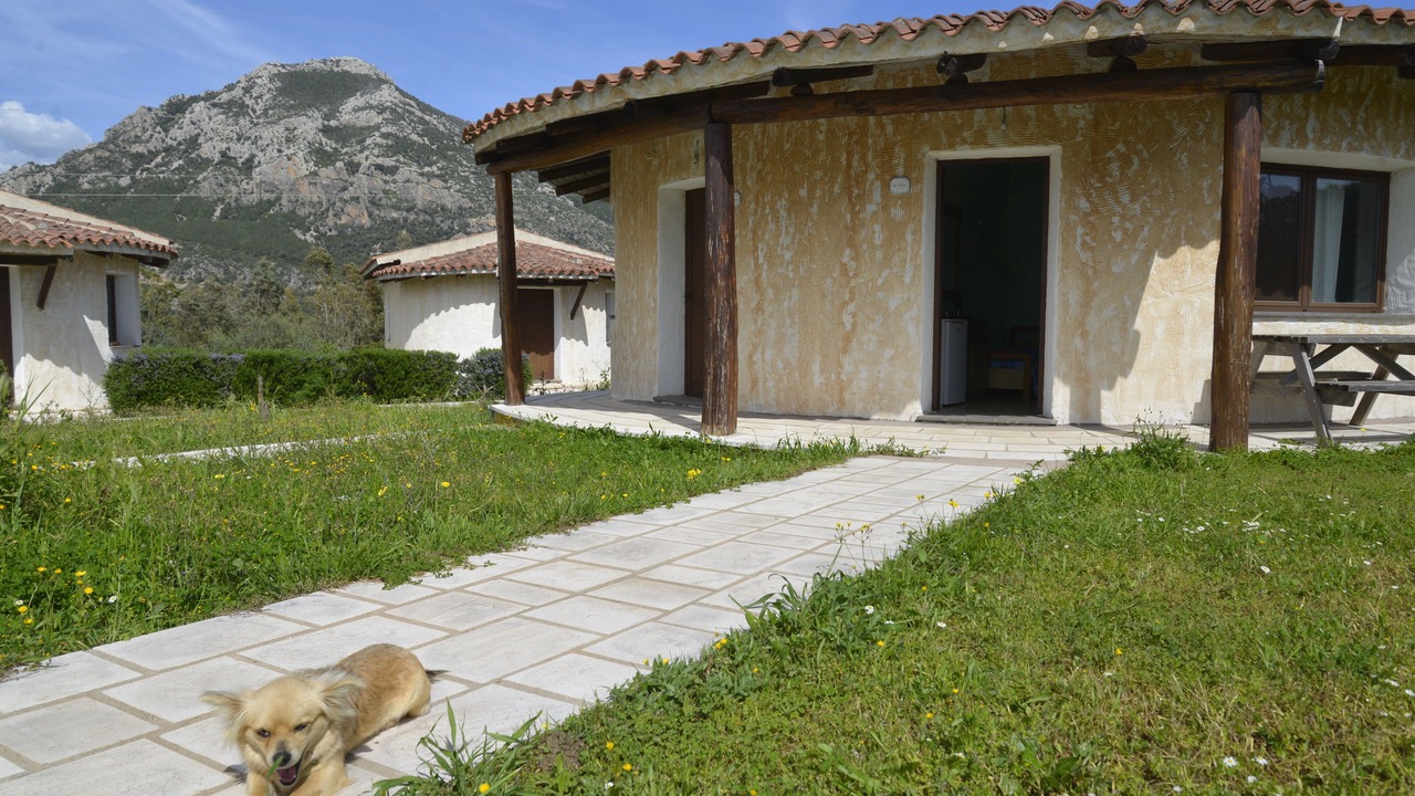 Photo of Outdoor in Galtelli