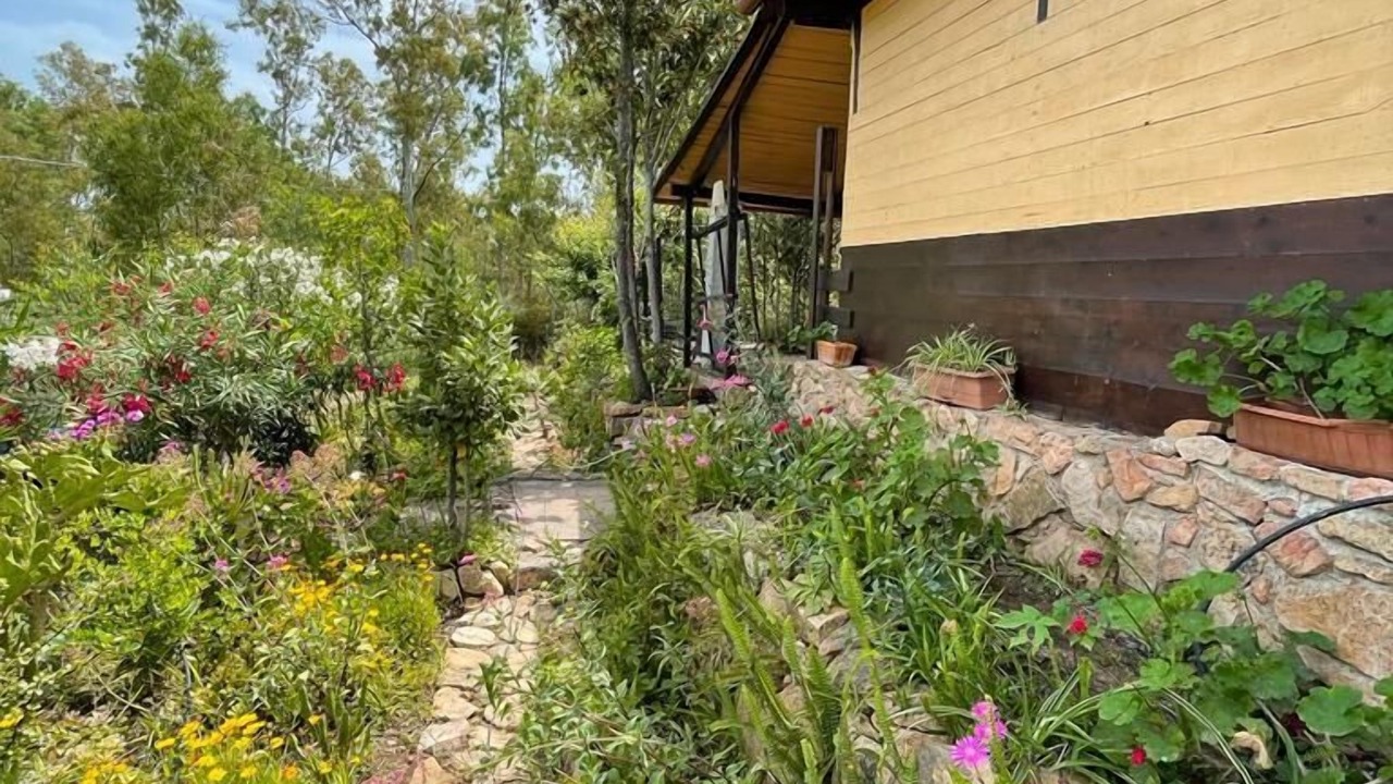 Photo of Outdoor in Arbatax