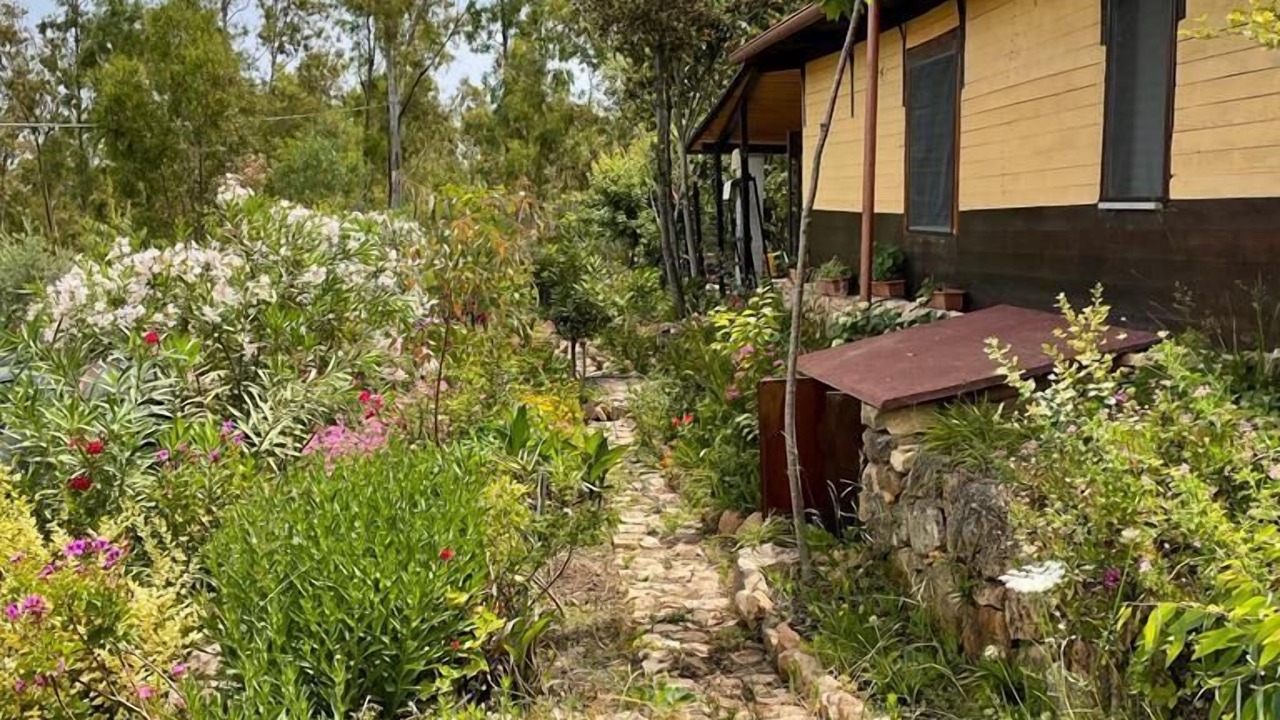 Photo of Outdoor in Arbatax