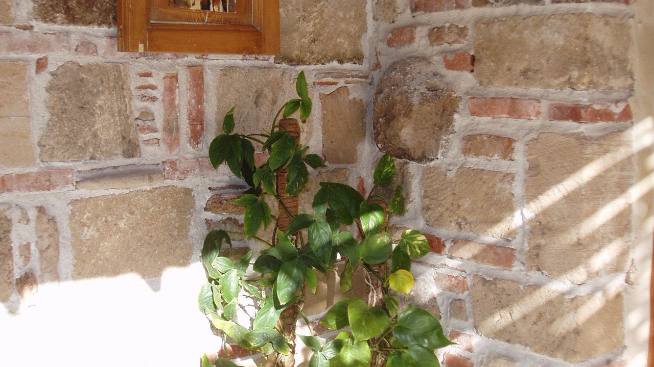 Photo of Outdoor in Oristano Historic Centre