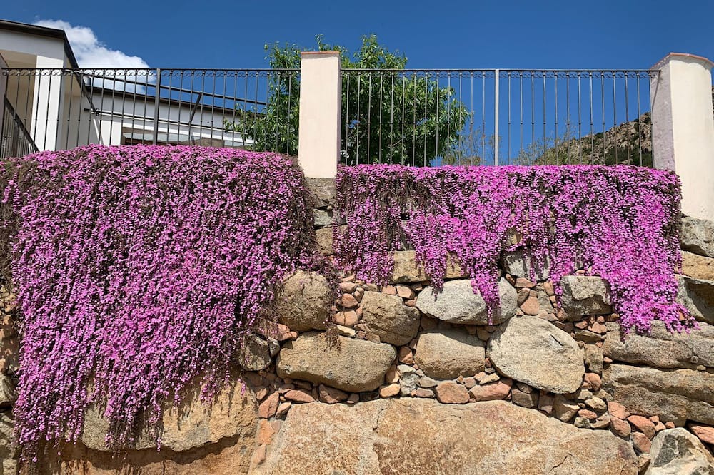 Photo of Outdoor in Lanusei