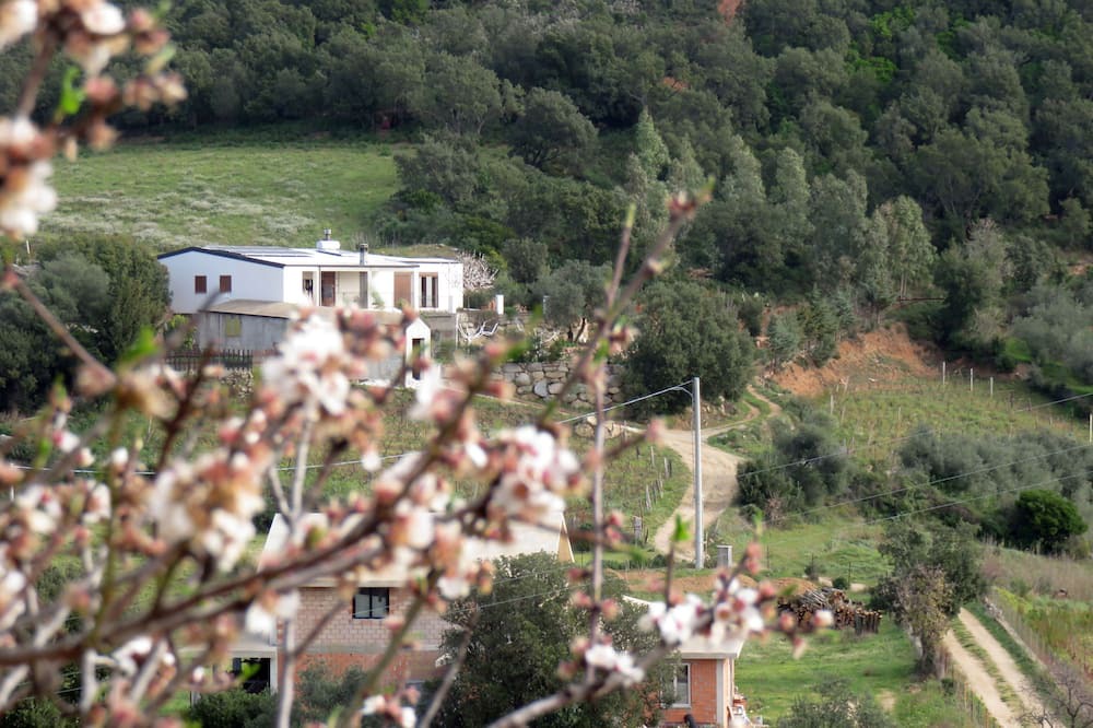 Photo of Others in Lanusei