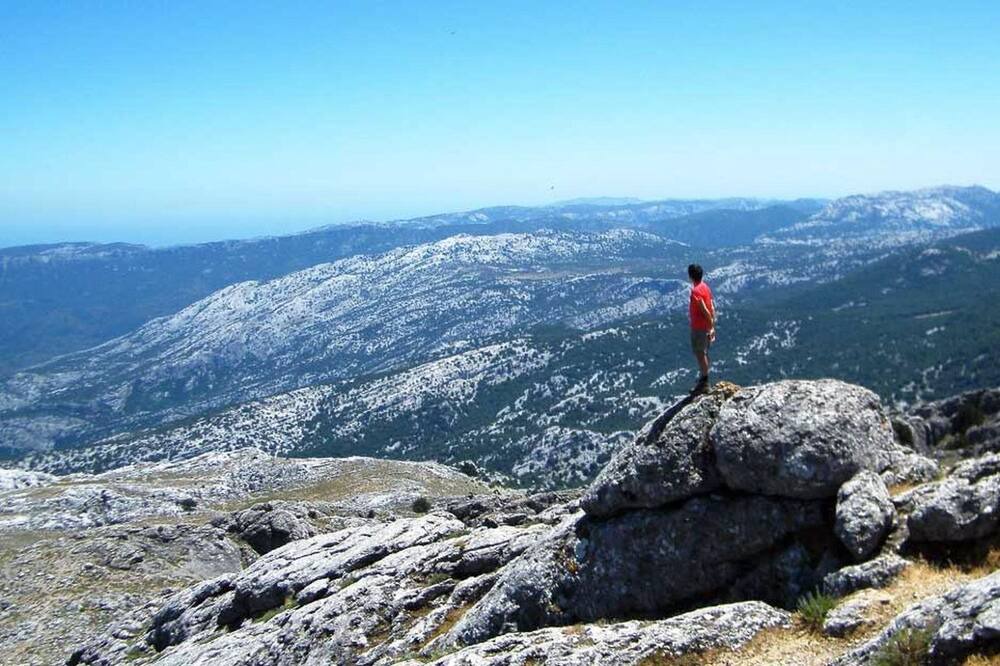 Photo of Others in Arbatax
