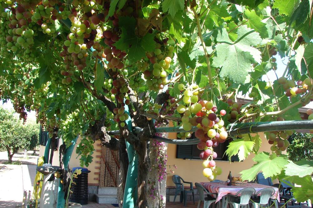 Photo of Outdoor in Arbatax