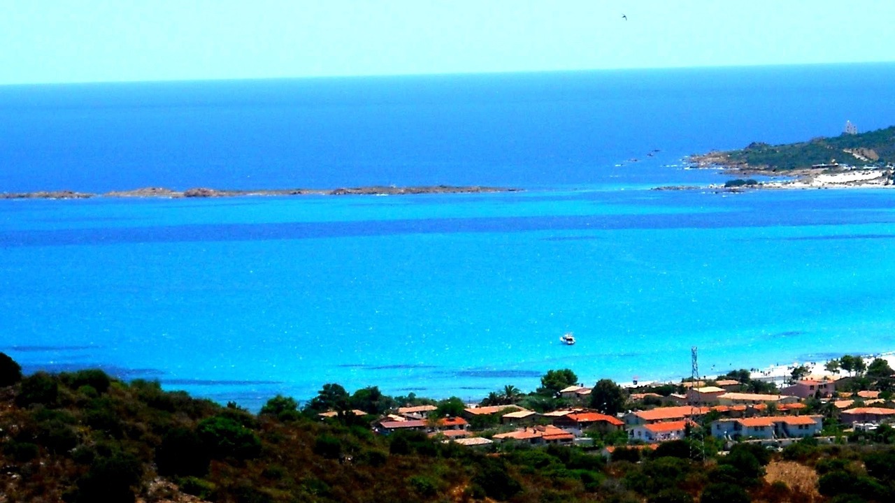 Photo of Others in Siniscola