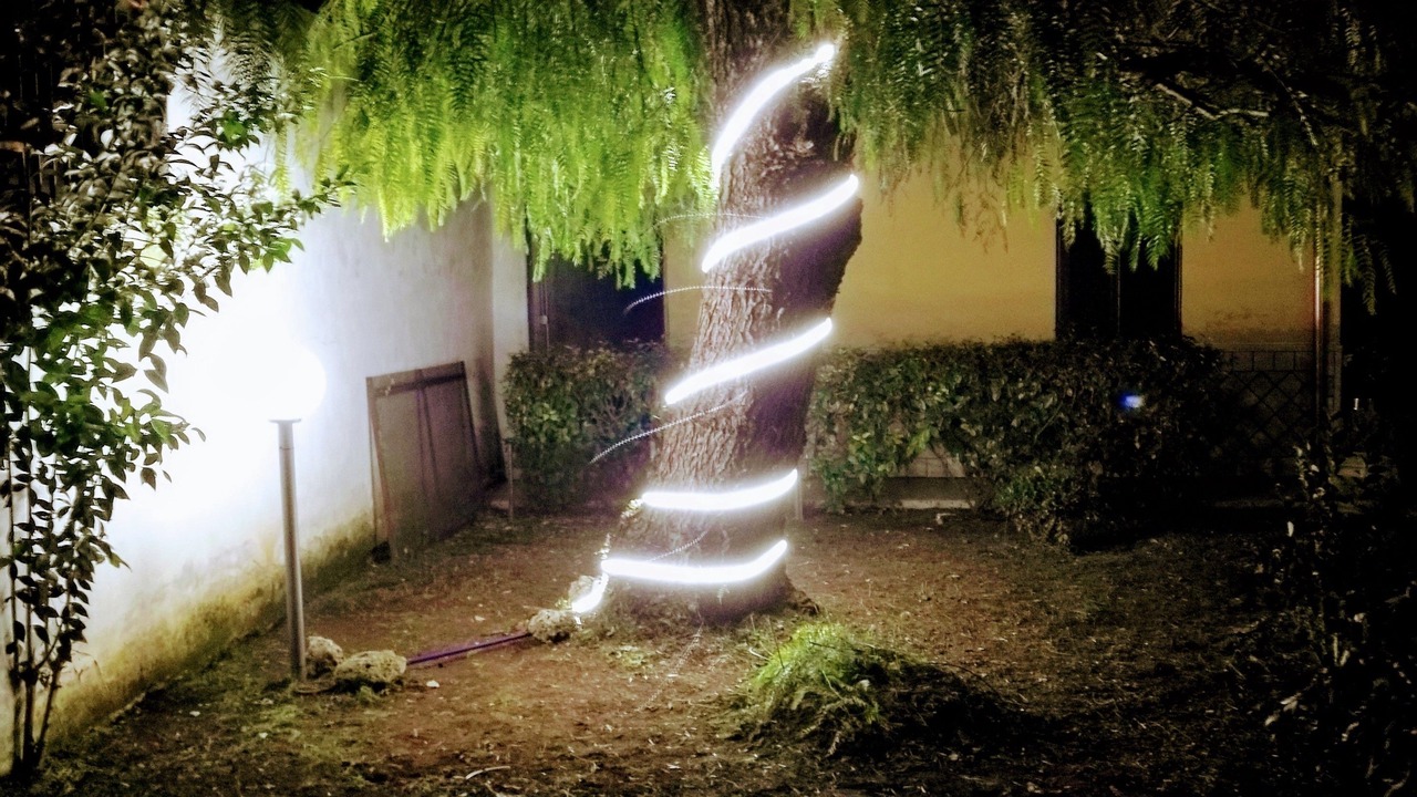 Photo of Outdoor in Capua