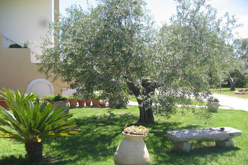 Photo of Outdoor in Cala Liberotto