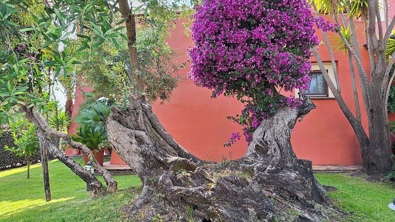 Photo of Outdoor in Arbatax