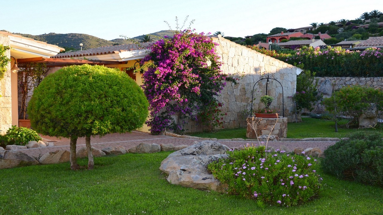 Photo of Outdoor in Luddui