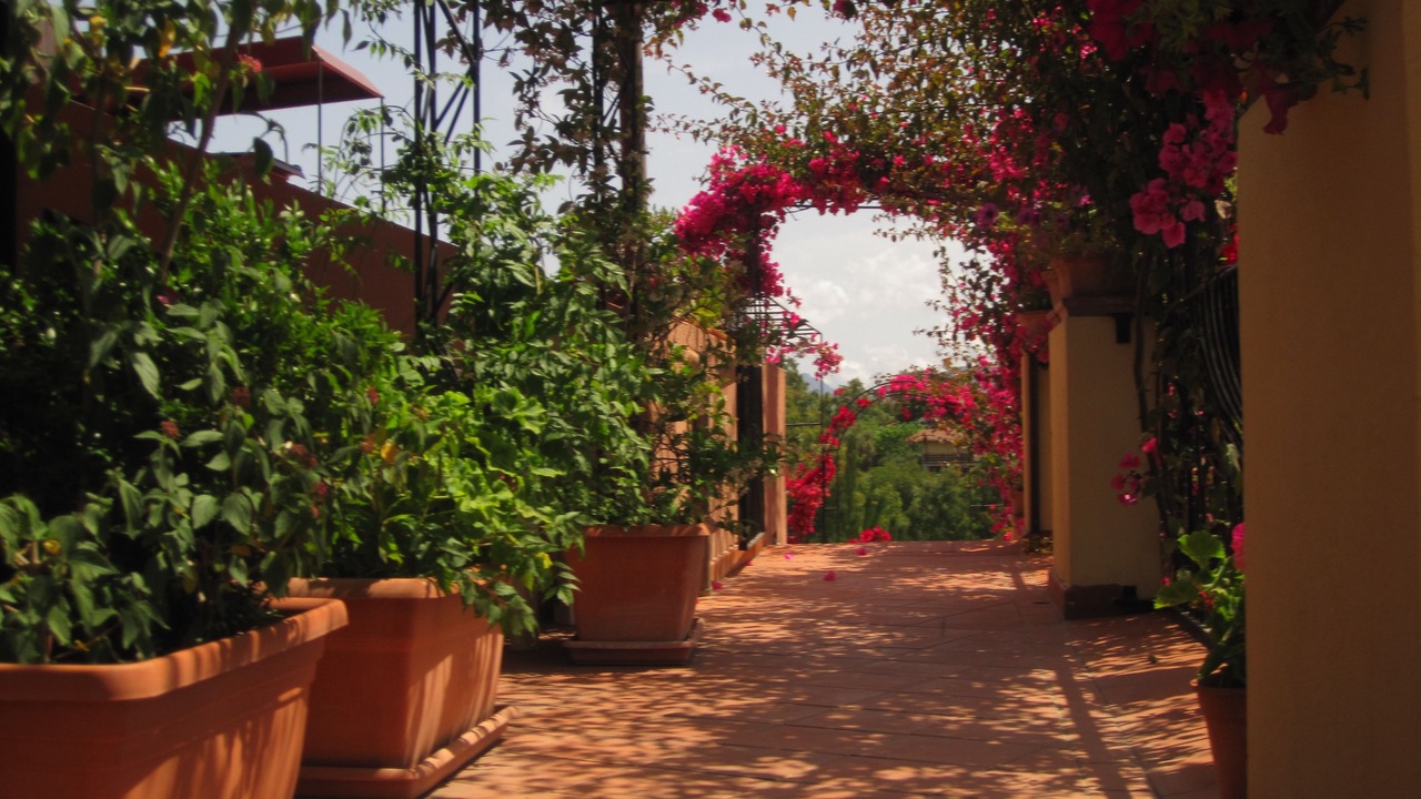 Photo of Outdoor in Torre di Bari