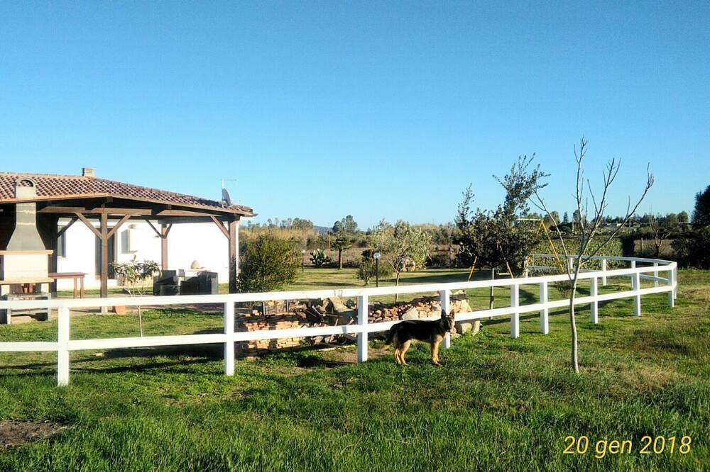Photo of Outdoor in Girasole