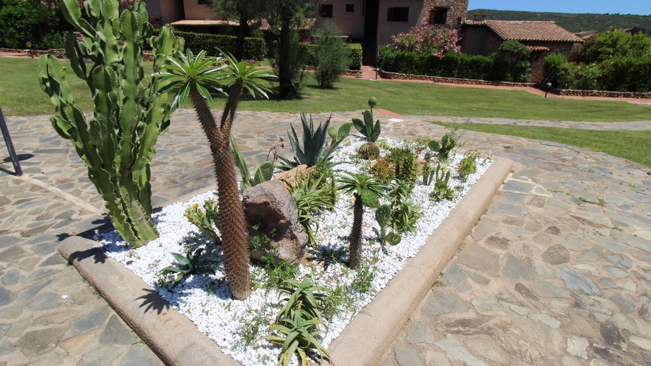 Photo of Outdoor in Golfo di Marinella