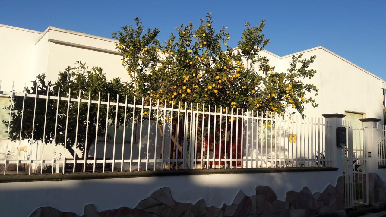 Photo of Outdoor in Serramanna