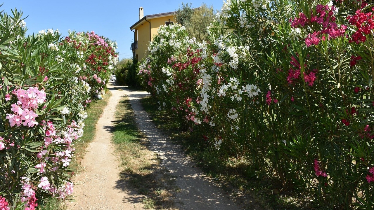 Photo of Outdoor in Lotzorai