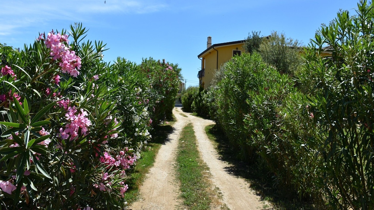 Photo of Outdoor in Lotzorai
