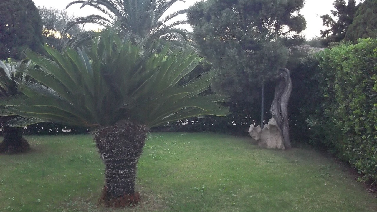 Photo of Outdoor in Teulada