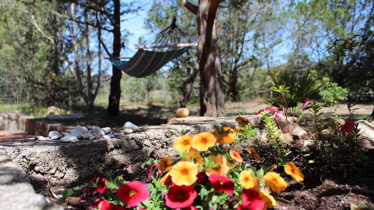 Photo of Outdoor in Cala Liberotto