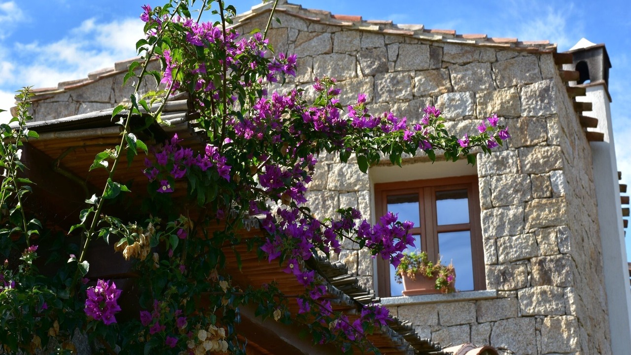 Photo of Outdoor in Lotzorai