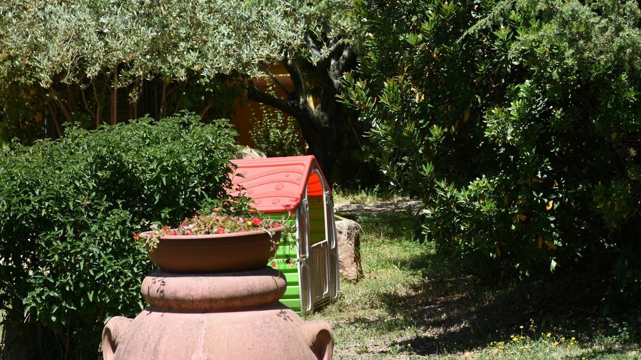 Photo of Outdoor in Lotzorai