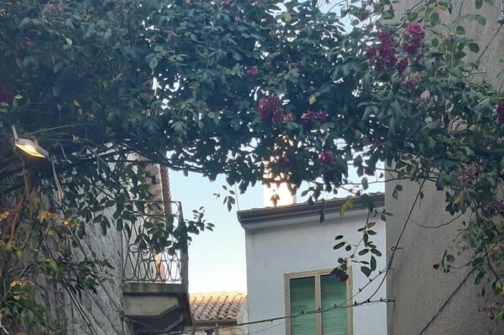 Photo of Outdoor in Castelsardo
