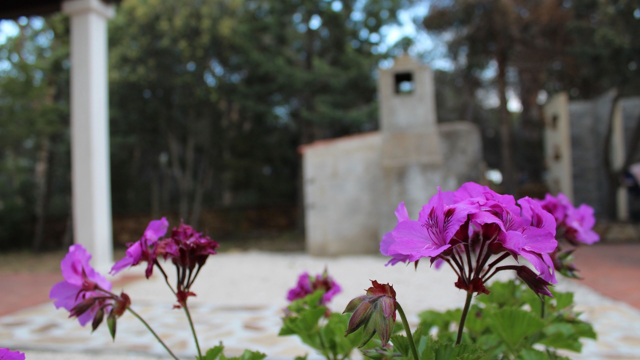 Photo of Outdoor in Cala Liberotto