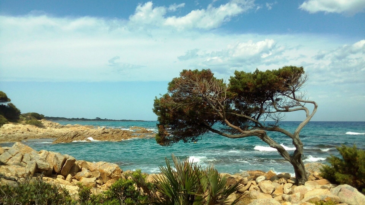 Photo of Others in Cala Liberotto