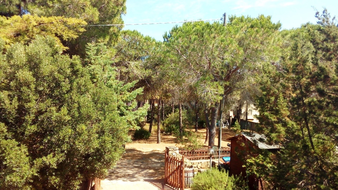 Photo of Outdoor in Cala Liberotto