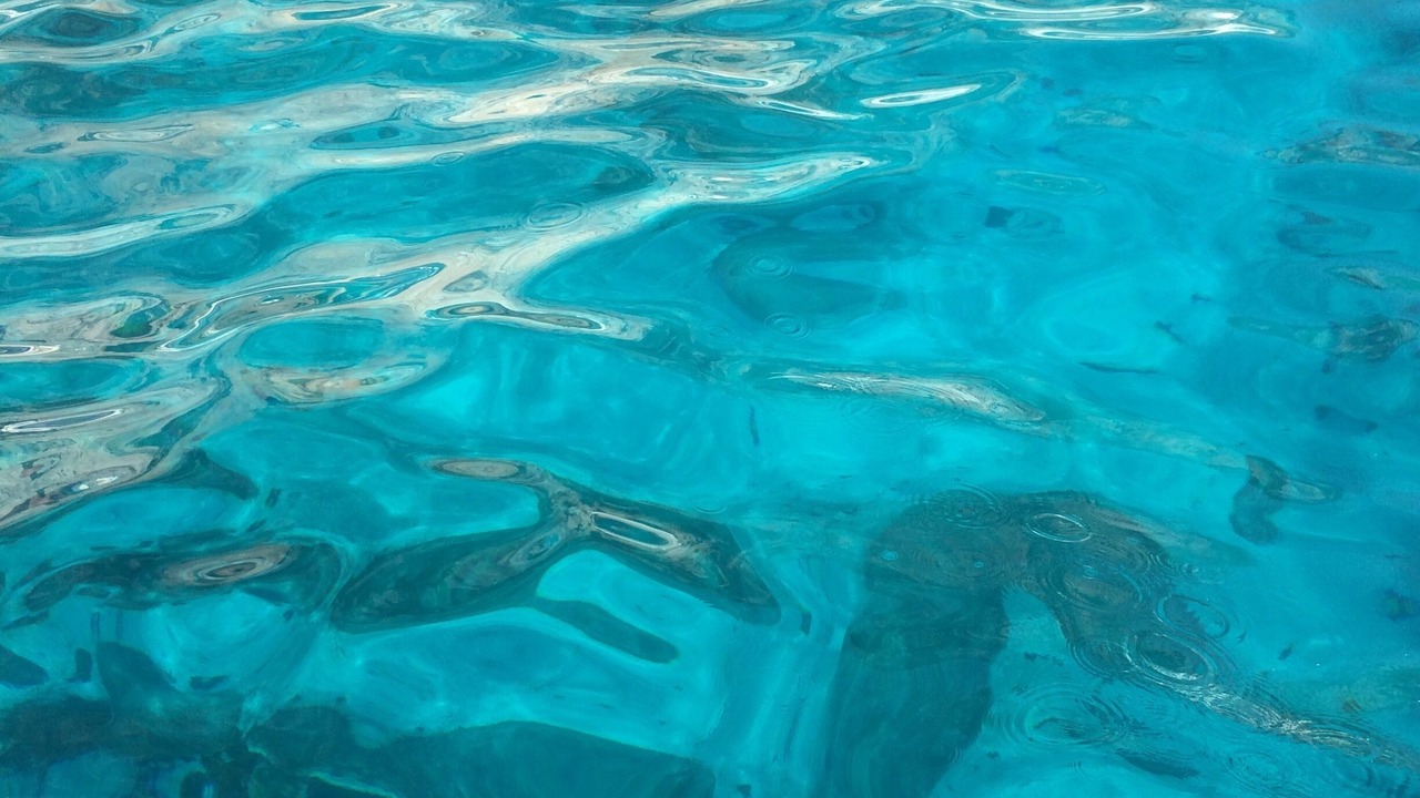Photo of Outdoor in Cala Liberotto