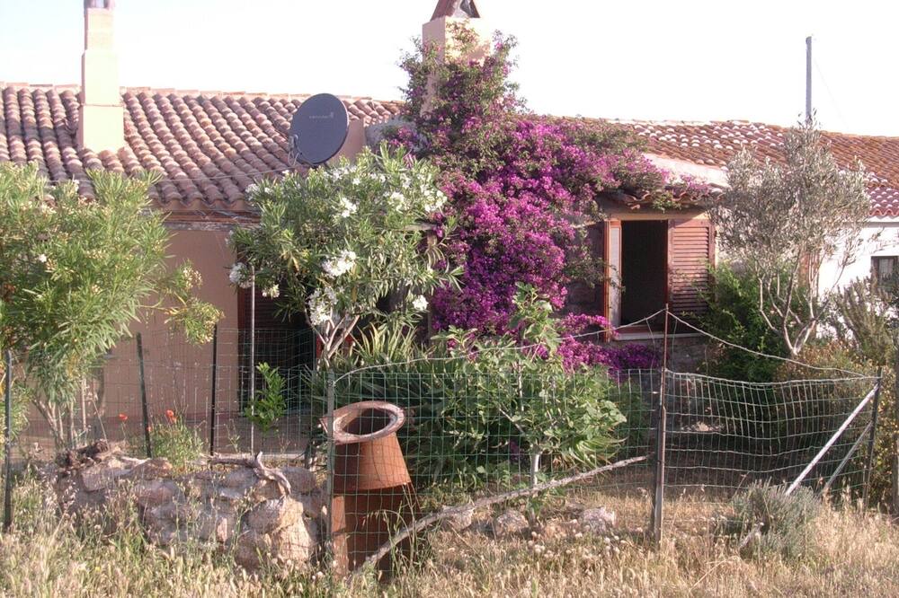 Photo of Outdoor in Aglientu
