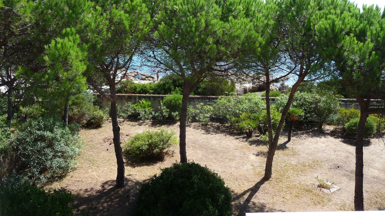 Photo of Outdoor in Cala Liberotto