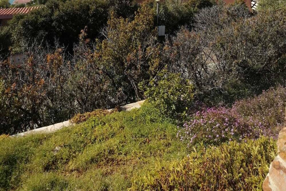 Photo of Outdoor in Geremeas