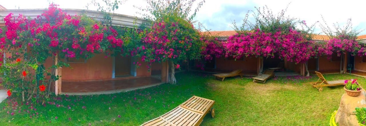 Photo of Outdoor in Talana